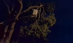 Aydın'da facia son anda önlendi