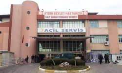 Aydın'da semt pazarında silahlar konuştu
