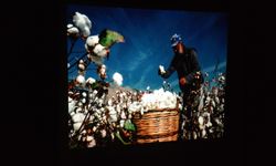 Aydın’ın görsel hafızası Kuşadası'nda kendine hayran bıraktı