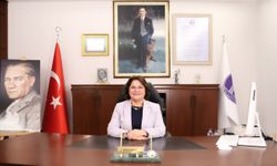 Başkan Gençay'dan Bayrak provokasyonuna Türk bayraklı tepki