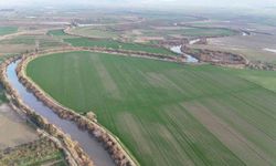 Aydınlı üreticilere 54 milyon TL destek