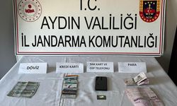 Bodrum hayalleri, Aydın'da bitti