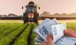 Borcu olan çiftçi kredi çekemeyecek: Kendirlioğlu, "Karar, tekrardan gözden geçirilmeli"