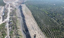Aydın’ın ilk ilek bahçeleri 21 Ocak’ta törenle hizmete açılıyor