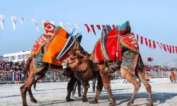 Deve güreşleri Meclis gündeminde