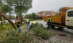 Didim Belediyesi ekipleri sahada