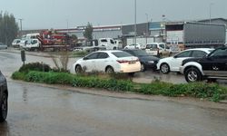 Didim'de sağanak yağış etkili oldu