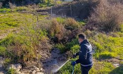 Didim'de halk sağlığı için vektörler karşı mücadele