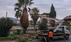 Efeler Belediyesi’nden Umurlu Karayolu’nda çalışma