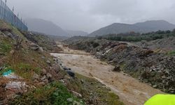 Feslek Çayı’nda mutlu eden görüntü