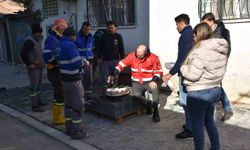 Germencik’te çaylar Başkan Zencirci’den