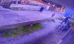 Çocukların gözü önünde köpeği katletti