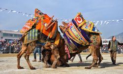 Güreş yok ama deve heykeli açılacak