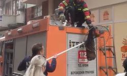 İmdadına itfaiye yetişti: Nazilli’de kurtarma operasyonu