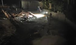 Aydın'da iskelede bir işçinin öldüğü kazada firma sahibi tutuklandı