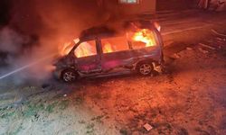 Karacasu’da ticari araç alevlere teslim oldu