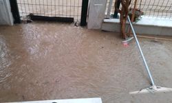 Kuşadası'nda şiddetli yağmur etkili oldu