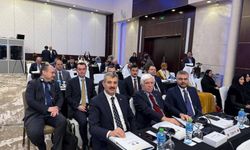 Özmen Bahreyn’de Türkiye’yi temsil ediyor