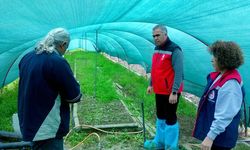 Salep orkidesi Aydınlı çiftçinin gelir kapısı oldu