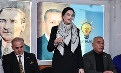 Sarıbaş, “Hizmet yolunda kararlılıkla yürüyoruz”