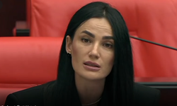 Sarıbaş’tan TBMM’de Erdoğan’a övgü