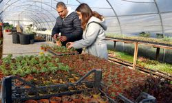 Söke Belediyesi, ilçeyi çiçeklerle donattı