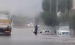 Söke selle boğuşuyor