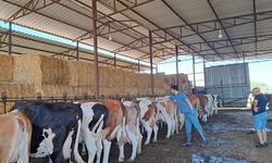 Söke’de 8 mahalle karantinaya alındı