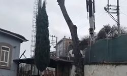 Söke'de vinç kazası