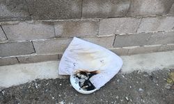 Aydın'da facianın eşiğinden dönüldü: Çocuğun yaktığı tütsü evi yakıyordu