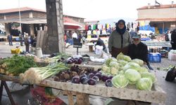 Traktör tamirciliğinden üreticiliğe: Uzun çifti hem üretip hem satıyor