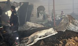 Nazilli’de şifalı bitki tesisi yandı