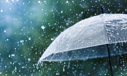 2 gün boyunca bereket yağdı: Aydın’da en çok yağış alan ilçeler belli oldu