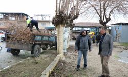 Yenipazar’da belediye ekipleri sahaya indi