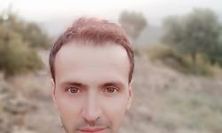 Aydın'da kahreden olay: Zeytin hasadında acı son