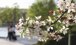İkinci cemre ne zaman ve nereye düşecek?