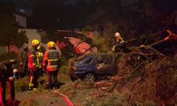 Aydın'da otomobille seyir halindeyken ölümden döndüler