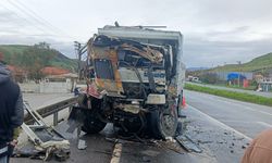 Kamyon sürücüsü feci kazada hayatını kaybetti