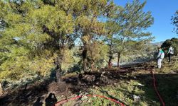 Temizlik yaparken yangın çıkardılar