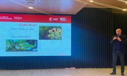 Aydın inciri için seferberlik