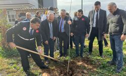 Aydın'da 6 Şubat depremleri unutulmadı: Fidanlar toprakla buluştu