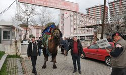 Aydın'da deveciler ayaklandı