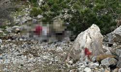 Aydın’da korkunç cinayet: Eşi itirafçı oldu her şeyi anlattı