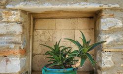 Aydın'ın masalsı mahallesi