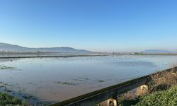 Başkan Ülgüdür’ün taşkın isyanı: 'Felaket göz göre göre geldi'