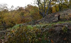 Bozdoğan’a 80 gün sonra acı haber