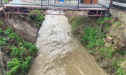 Bozdoğan suya doydu