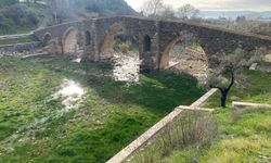 Bu köprü suya hasret kaldı