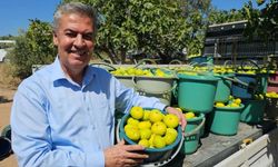 Haydi Buharkent TV başına