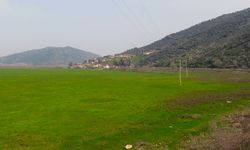 Aydın'da koca ova antik dönemdeki haline döndü